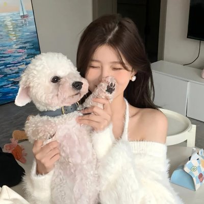 猫狗武林